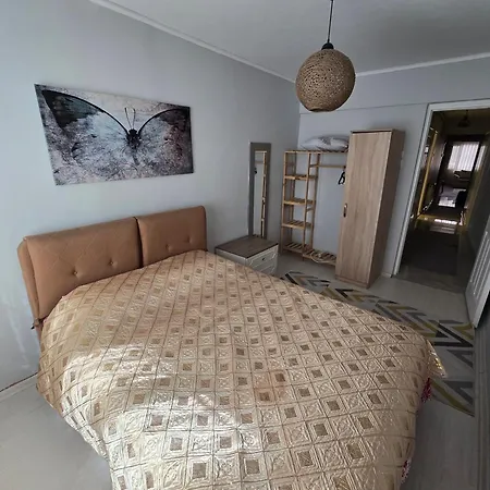 3+1 , Historical Elevator, Warm House Next To Sea