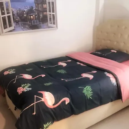 4-room, Warm House, Near The Sea, Next To The Historic Elevator *